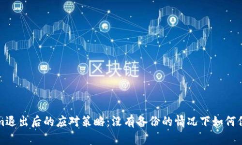 Tokenim退出后的应对策略：没有备份的情况下如何保护资产