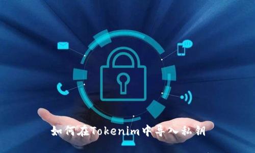 如何在Tokenim中导入私钥