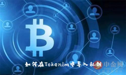 如何在Tokenim中导入私钥
