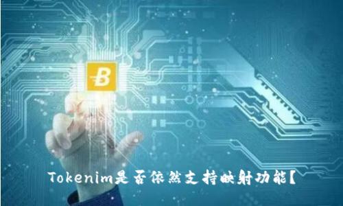 Tokenim是否依然支持映射功能?