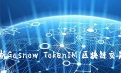 深入解析Gasnow TokenIM：区块