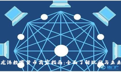龙港数字货币商家指南:全面了解现状与未来