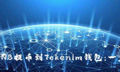 如何将BNB提币到Tokenim钱包:一步步教程