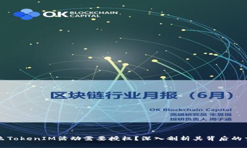 为什么TokenIM活动需要授权？深入剖析其背后的重要性