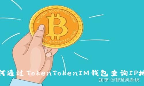 如何通过TokenTokenIM钱包查询IP地址