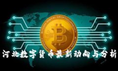 河北数字货币最新动向与