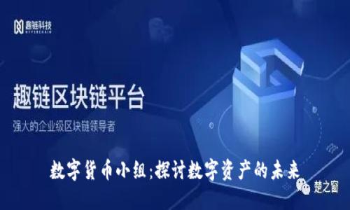 数字货币小组:探讨数字资产的未来