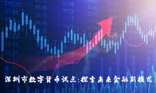 深圳市数字货币试点:探索未来金融新模式