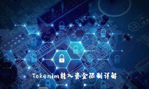 Tokenim转入资金限制详解