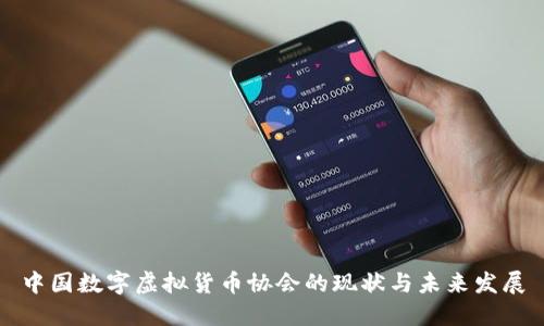 中国数字虚拟货币协会的现状与未来发展