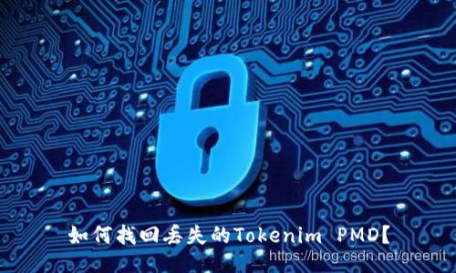 如何找回丢失的Tokenim PMD?