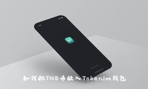 如何把TNB币放入Tokenim钱包