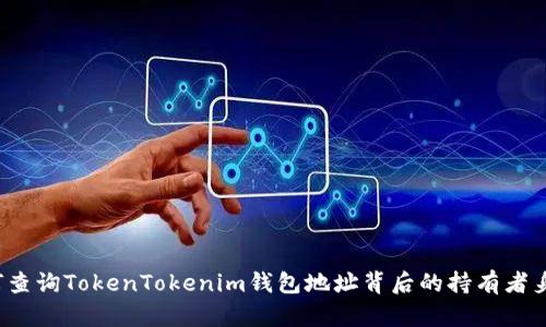 如何查询TokenTokenim钱包地址背后的持有者身份?