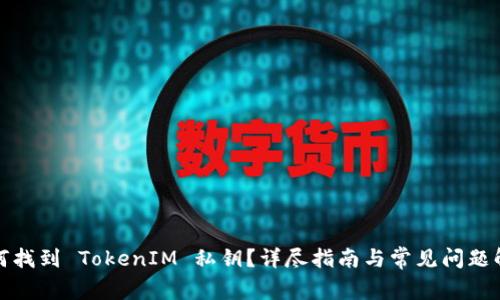 如何找到 TokenIM 私钥?详尽指南与常见问题解答