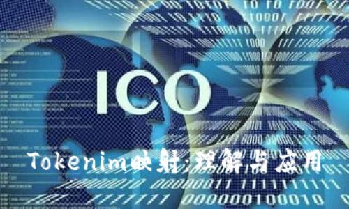 Tokenim映射:理解与应用