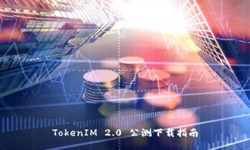 TokenIM 2.0 公测下载指南
