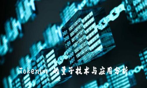 Tokenim 的量子技术与应用分析