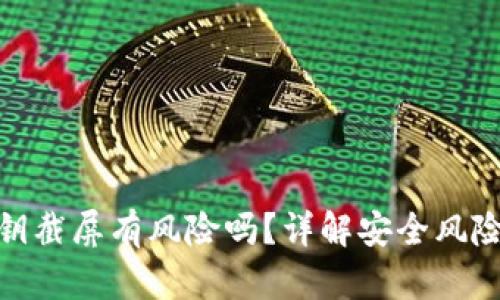 TokenIM密钥截屏有风险吗?详解安全风险与保护方法