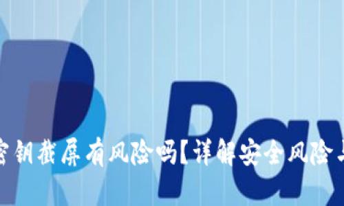 TokenIM密钥截屏有风险吗?详解安全风险与保护方法