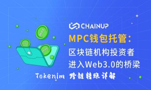 Tokenim 跨链转账详解