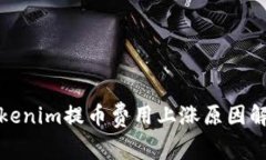 Tokenim提币费用上涨原因解
