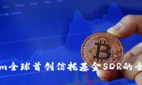 Tokenim全球首创信托基金SDR的全面解析