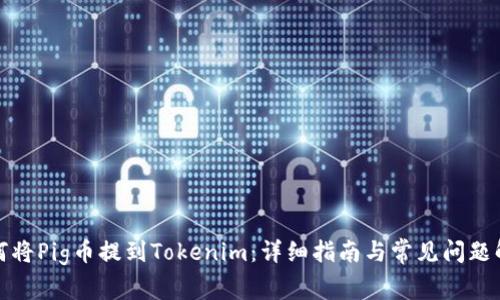 如何将Pig币提到Tokenim:详细指南与常见问题解答