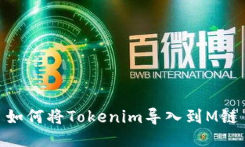 如何将Tokenim导入到M链