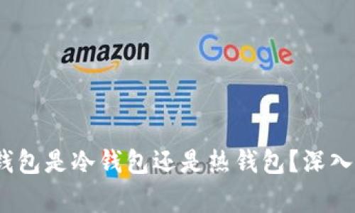Tokentokenim钱包是冷钱包还是热钱包?深入解析及常见问题