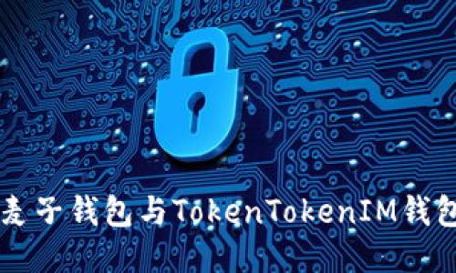 国内下载麦子钱包与TokenTokenIM钱包的全指南