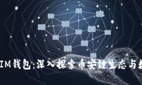 TokenTokenIM钱包:深入探索币安链生态与数字资产管理
