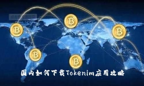 国内如何下载Tokenim应用攻略