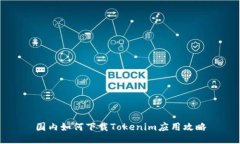 国内如何下载Tokenim应用攻