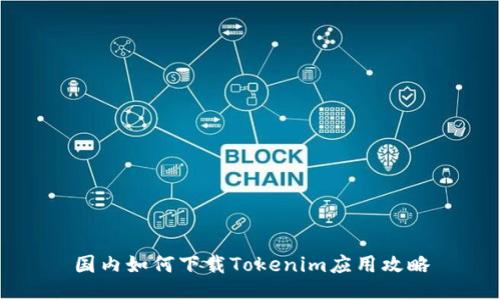 国内如何下载Tokenim应用攻略