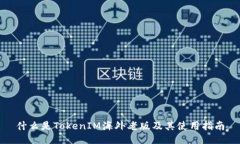 什么是TokenIM海外老版及其
