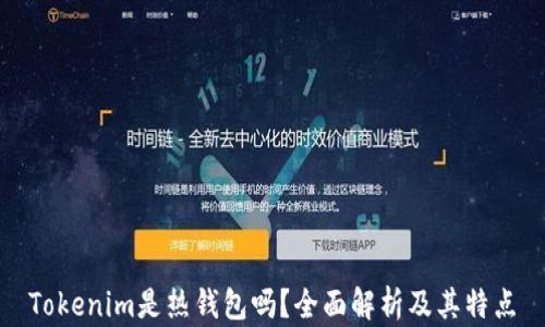 Tokenim是热钱包吗?全面解析及其特点