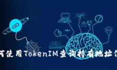 如何使用TokenIM查询持有地