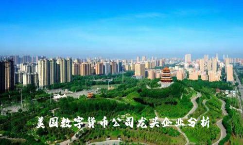 美国数字货币公司龙头企业分析