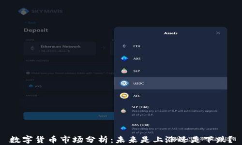 数字货币市场分析:未来是上涨还是下跌?