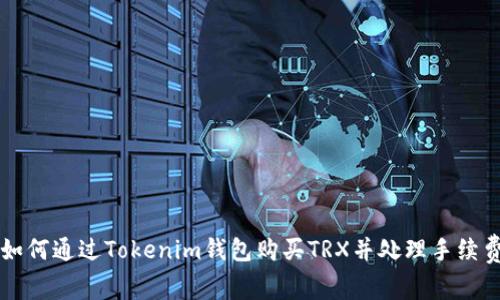 如何通过Tokenim钱包购买TRX并处理手续费