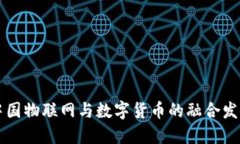 中国物联网与数字货币的