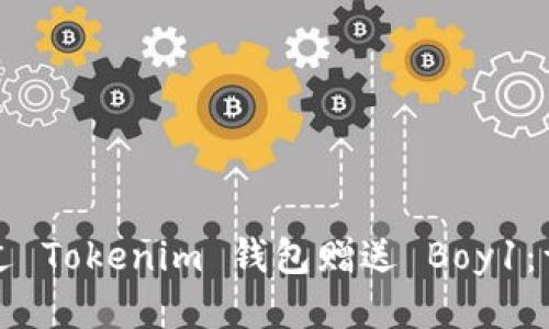 如何通过 Tokenim 钱包赠送 Boy1:详细指南
