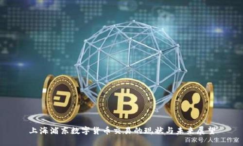 上海浦东数字货币交易的现状与未来展望