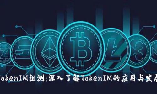 TokenIM组测:深入了解TokenIM的应用与发展