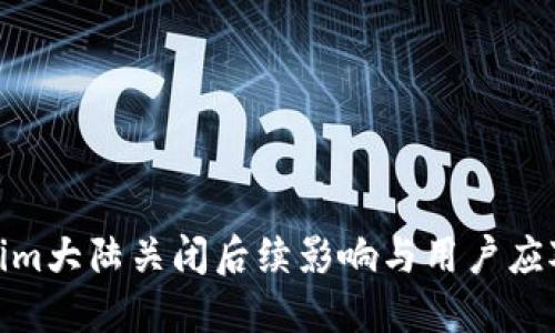 Tokenim大陆关闭后续影响与用户应对策略