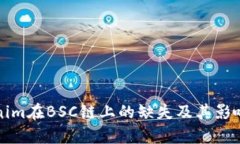 Tokenim在BSC链上的缺失及其