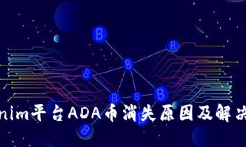 Tokenim平台ADA币消失原因及解决方案