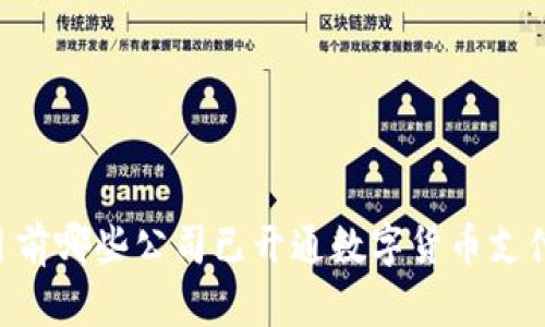 目前哪些公司已开通数字货币支付?