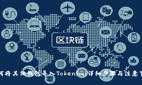 如何将其他钱包导入Tokenim:详细步骤与注意事项