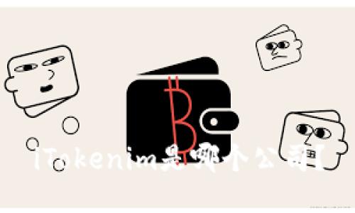 iTokenim是哪个公司?